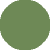 
        fern
        