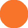 
        princeton
        